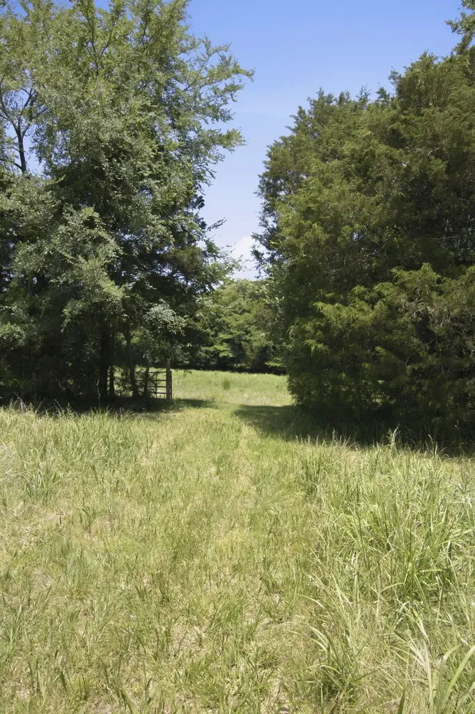0 Bethleham Church Road Shelbyville TN 37160