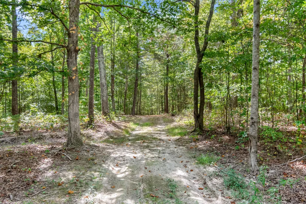 6021 Garrison Springs Road Franklin TN 37064