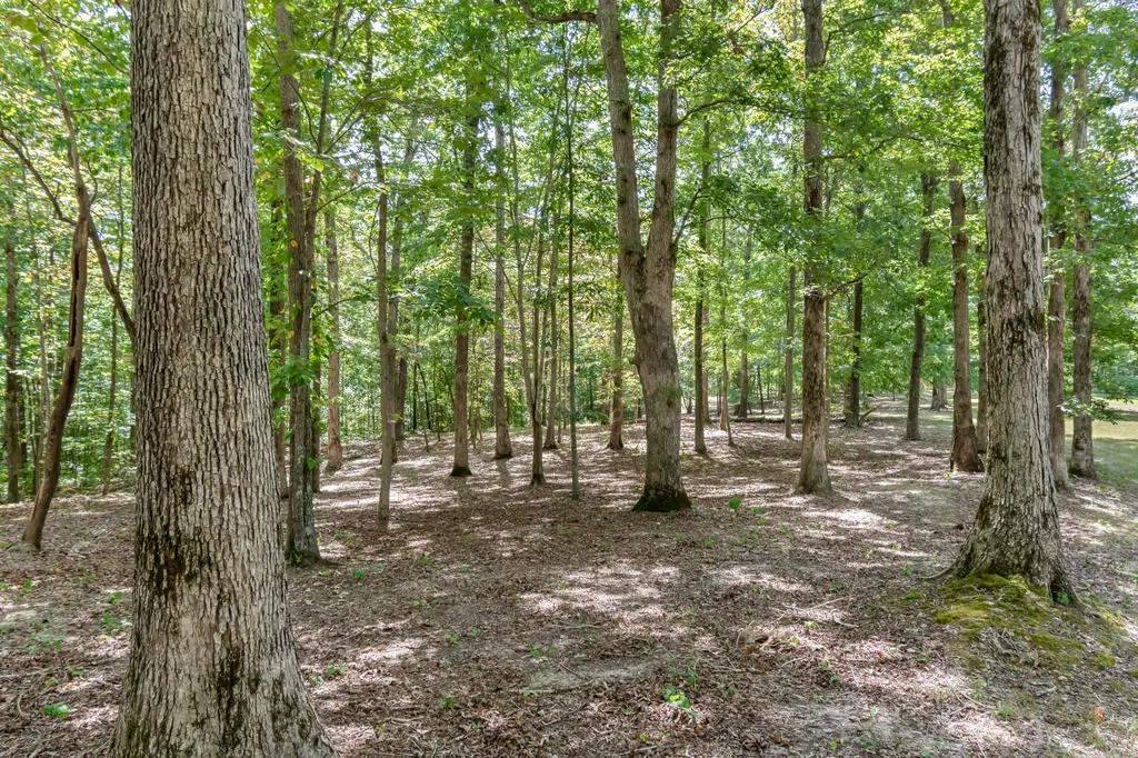 6021 Garrison Springs Road Franklin TN 37064