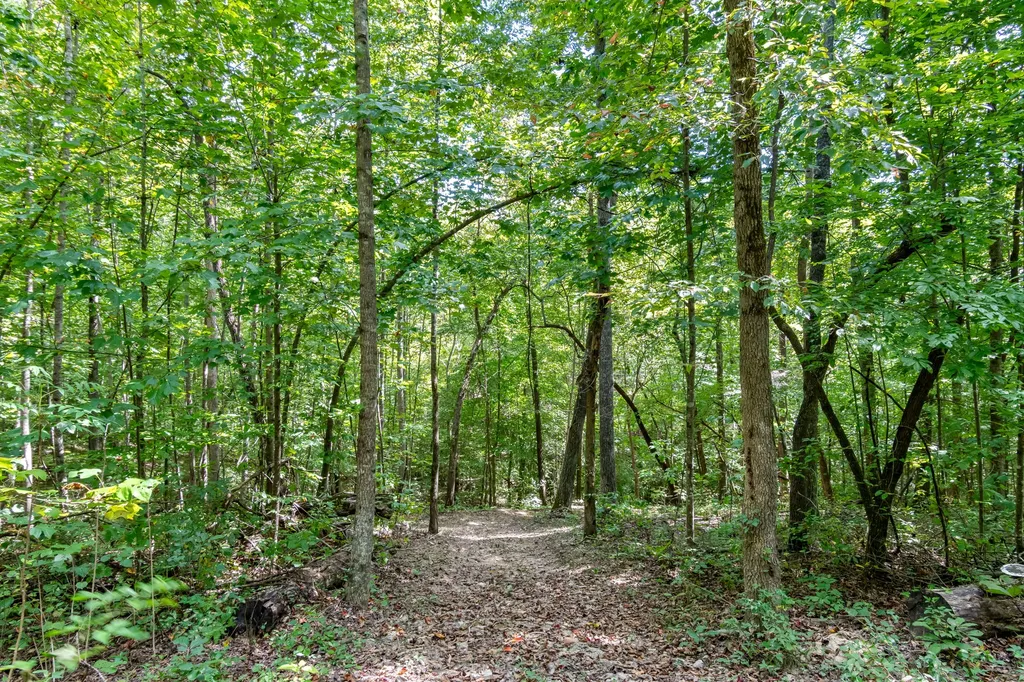 6021 Garrison Springs Road Franklin TN 37064