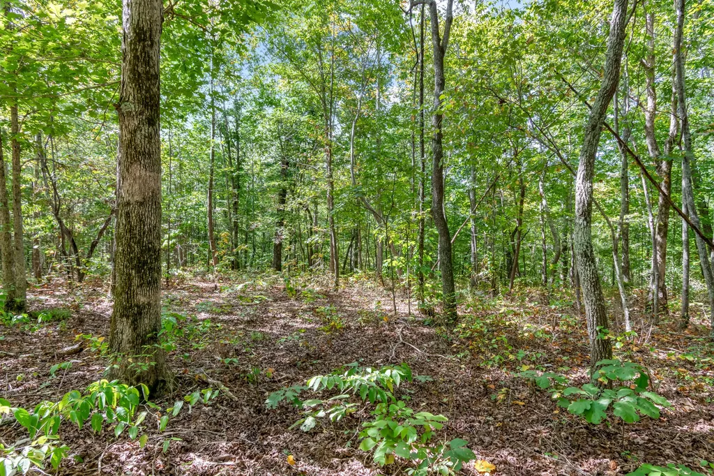 6021 Garrison Springs Road Franklin TN 37064