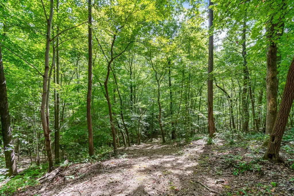 6021 Garrison Springs Road Franklin TN 37064