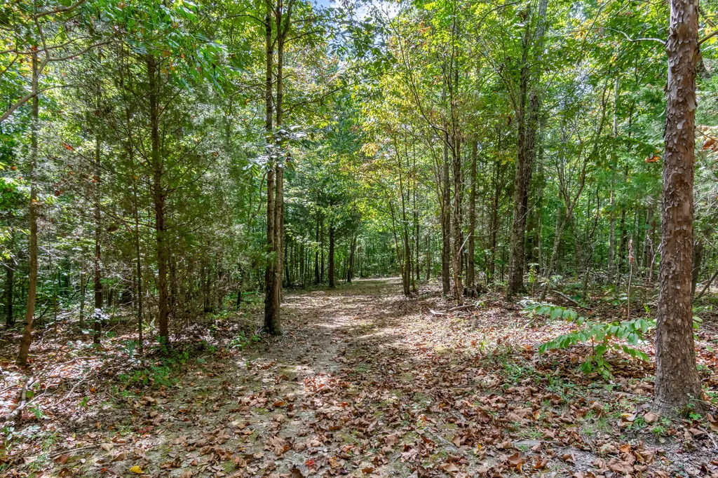 6021 Garrison Springs Road Franklin TN 37064