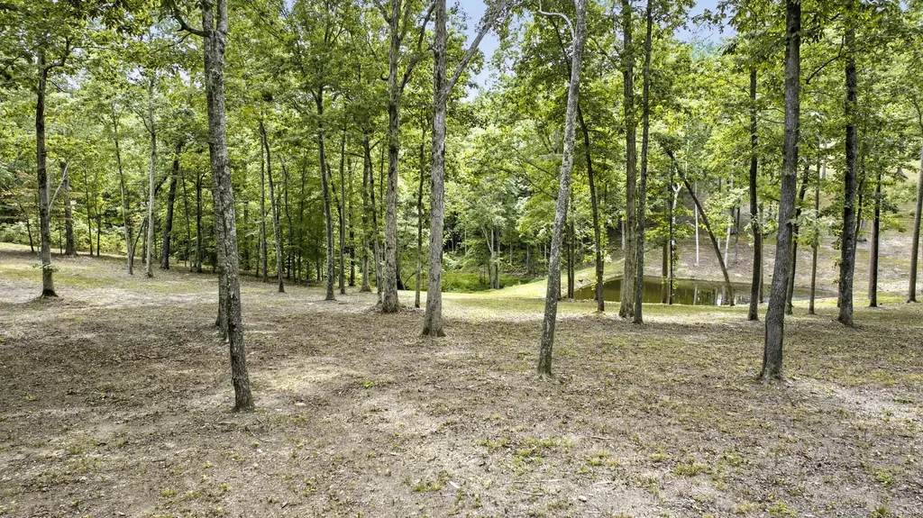 6021 Garrison Springs Road Franklin TN 37064