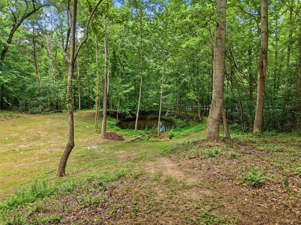 2543 S Bunker Hill Road Sparta TN 38583