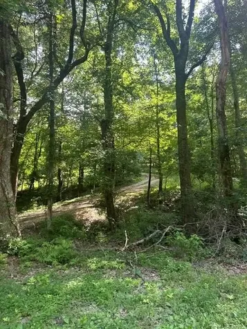 620 Eva Flatwoods Road Eva TN 38333