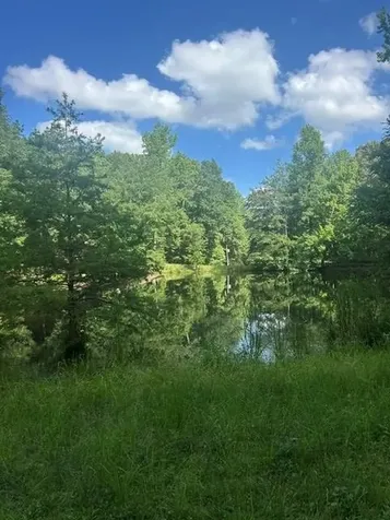620 Eva Flatwoods Road Eva TN 38333