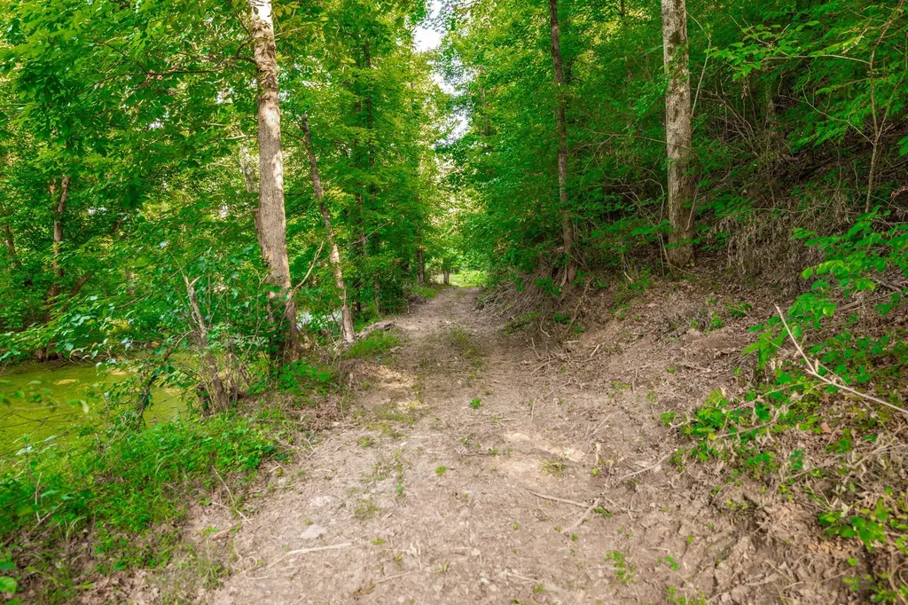 825 Harsh Lane Castalian Springs TN 37031