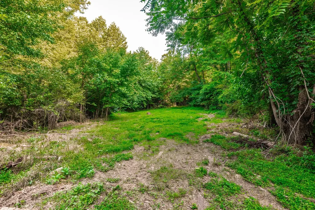 825 Harsh Lane Castalian Springs TN 37031