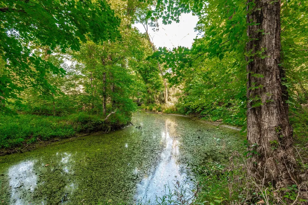 825 Harsh Lane Castalian Springs TN 37031