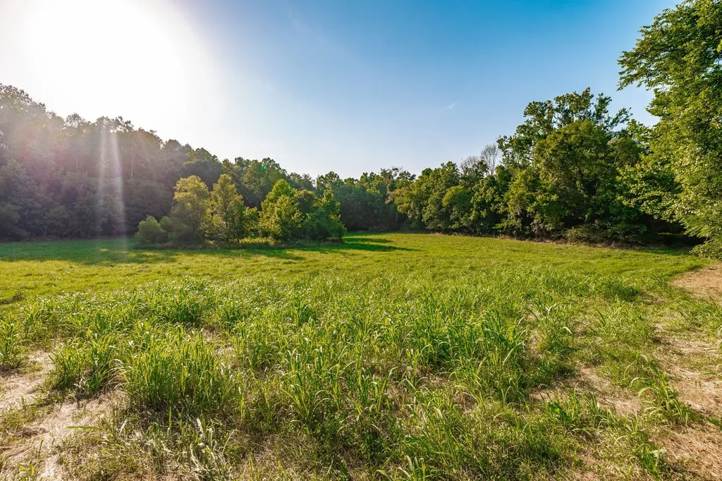 825 Harsh Lane Castalian Springs TN 37031