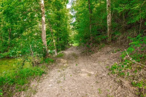 825 Harsh Lane Castalian Springs TN 37031