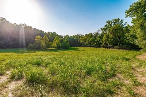 825 Harsh Lane Castalian Springs TN 37031