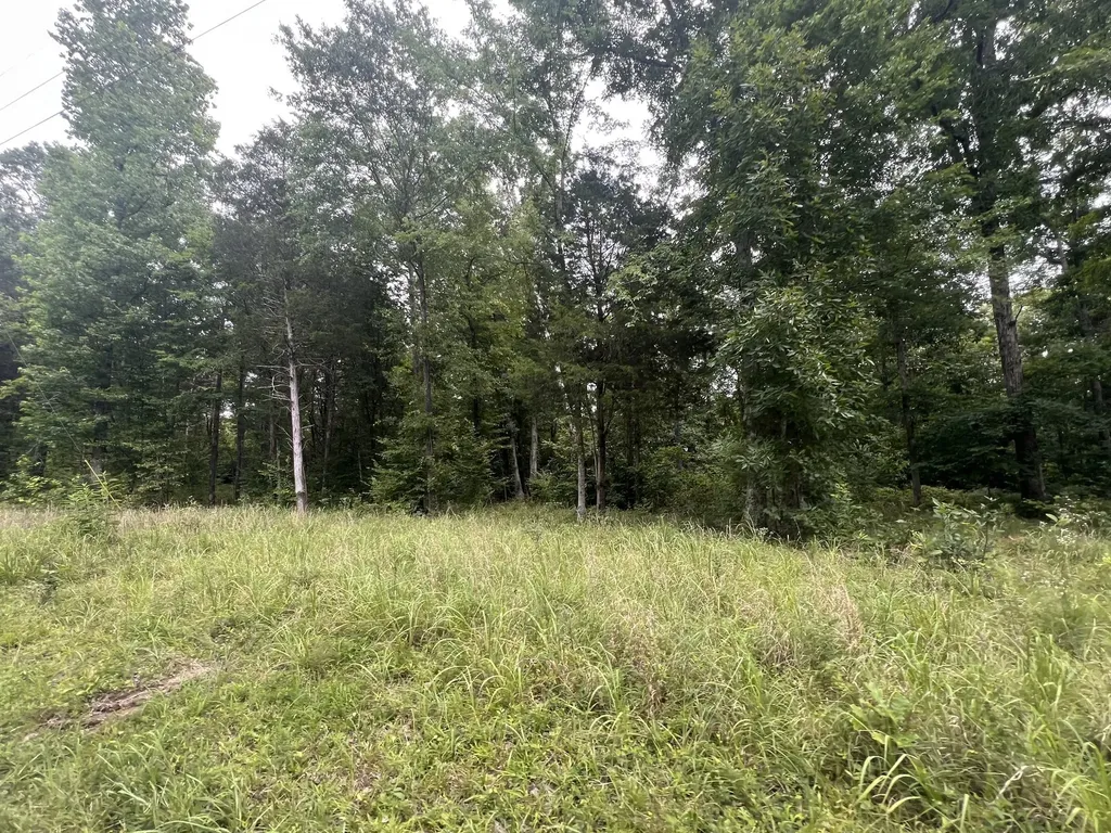 7 Toms Creek Lake Road Linden TN 37096