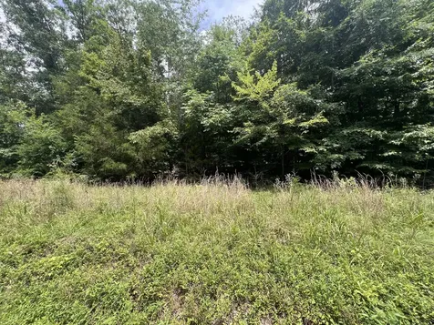 7 Toms Creek Lake Road Linden TN 37096