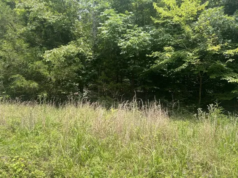 7 Toms Creek Lake Road Linden TN 37096