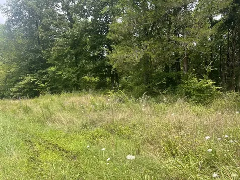 7 Toms Creek Lake Road Linden TN 37096