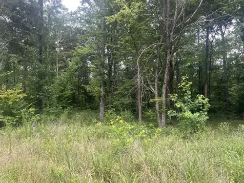 8 Toms Creek Lake Road Linden TN 37096