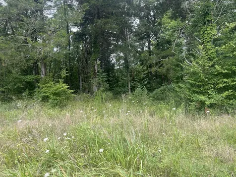 8 Toms Creek Lake Road Linden TN 37096