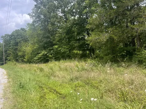 8 Toms Creek Lake Road Linden TN 37096