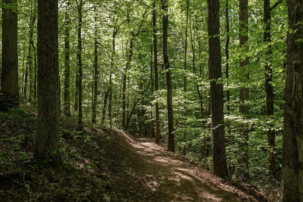 0 Pinewood Road Franklin TN 37064
