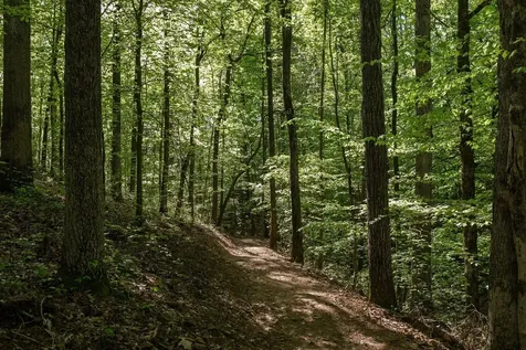 0 Pinewood Road Franklin TN 37064