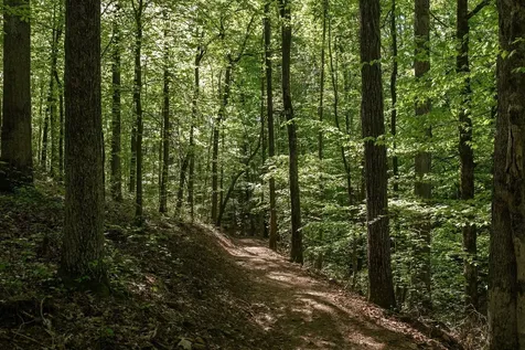 0 Pinewood Road Franklin TN 37064