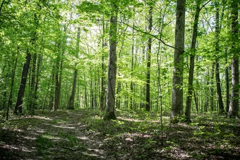 0 Pinewood Road Franklin TN 37064