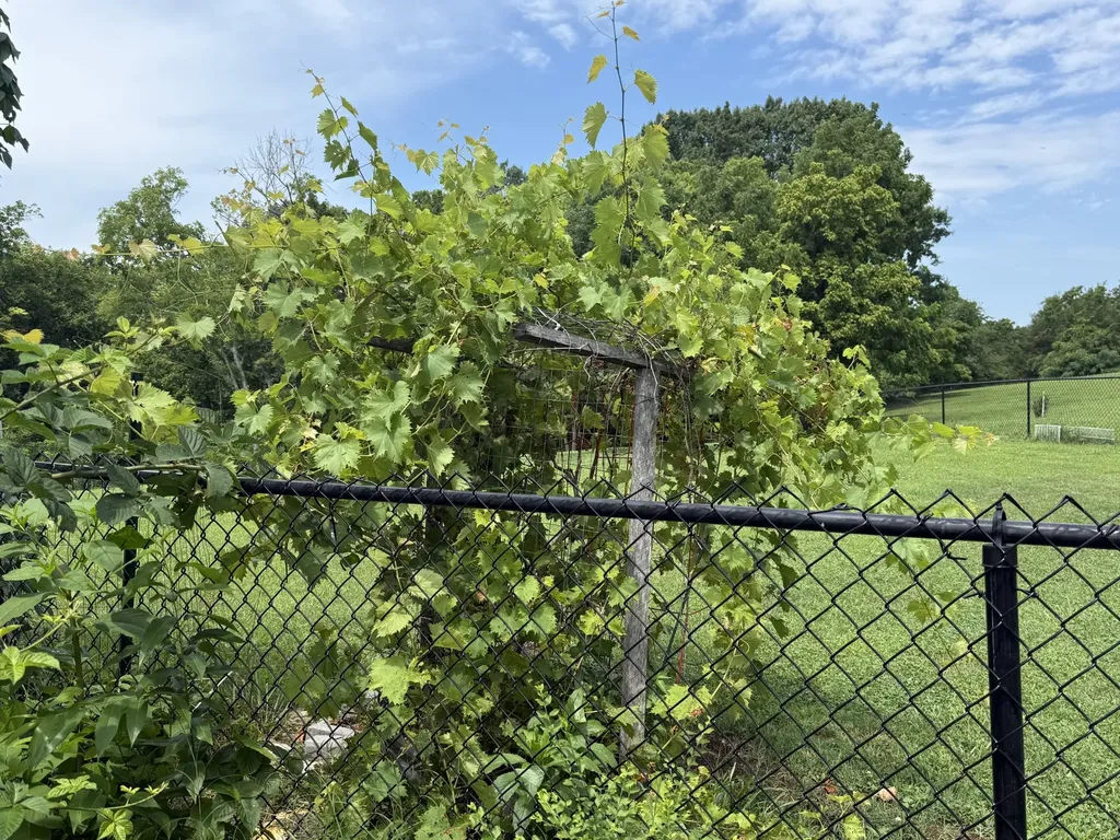 762 Waldron Road La Vergne TN 37086