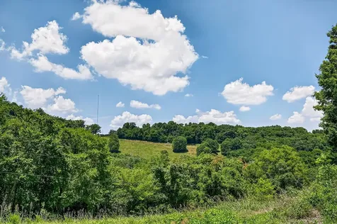99 Judkins Lane Hickman TN 38567