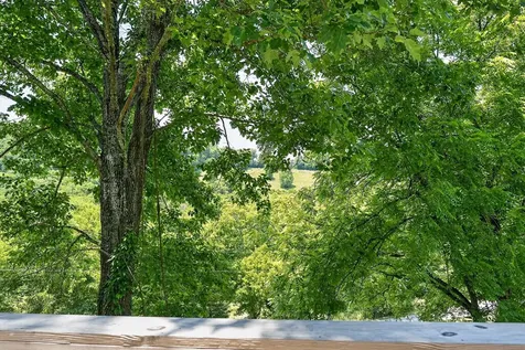 99 Judkins Lane Hickman TN 38567