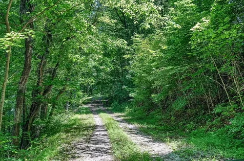 99 Judkins Lane Hickman TN 38567