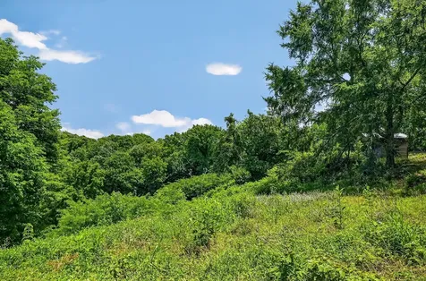 99 Judkins Lane Hickman TN 38567