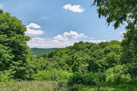 99 Judkins Lane Hickman TN 38567