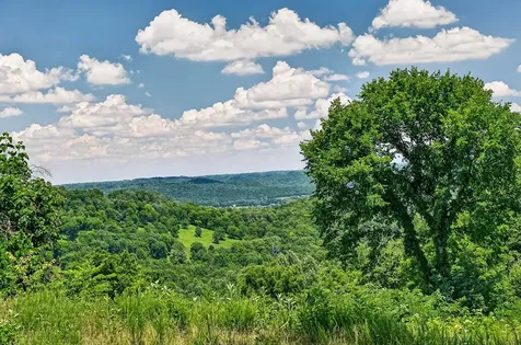 99 Judkins Lane Hickman TN 38567