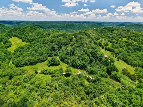 99 Judkins Lane Hickman TN 38567