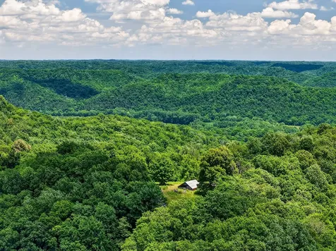 99 Judkins Lane Hickman TN 38567