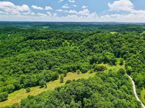 99 Judkins Lane Hickman TN 38567