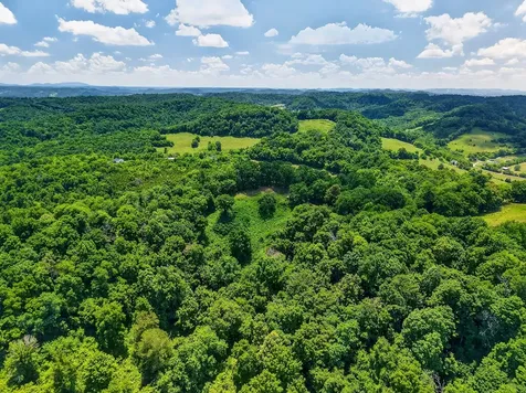 99 Judkins Lane Hickman TN 38567