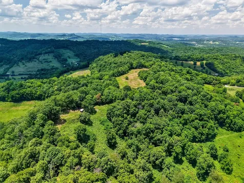 99 Judkins Lane Hickman TN 38567