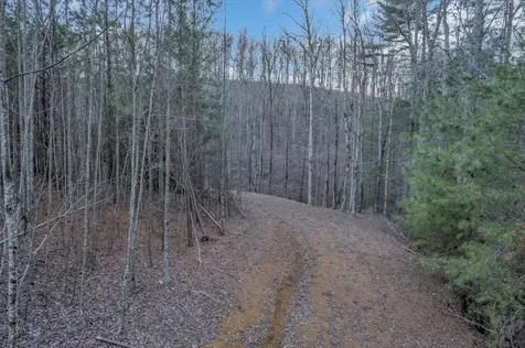 0 Dykes Hollow Road Jasper TN 37347