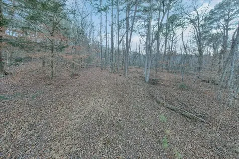 0 Dykes Hollow Road Jasper TN 37347