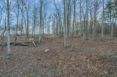 0 Dykes Hollow Road Jasper TN 37347