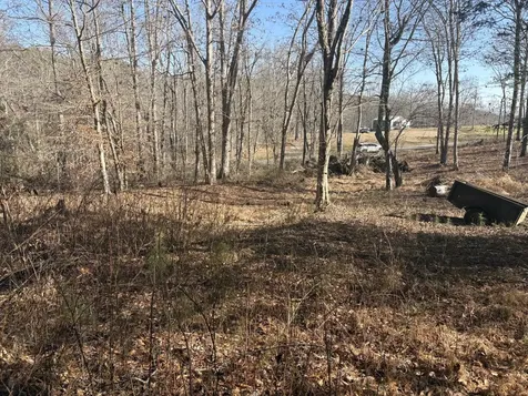 0 Dykes Hollow Road Jasper TN 37347