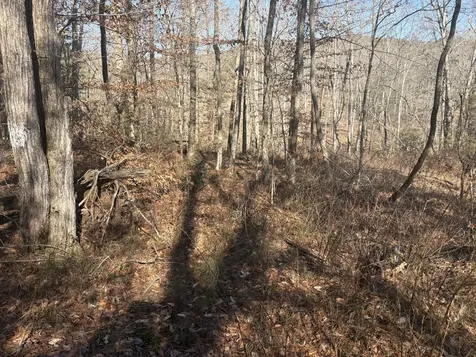 0 Dykes Hollow Road Jasper TN 37347