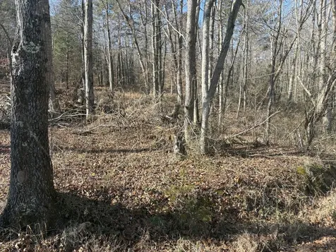 0 Dykes Hollow Road Jasper TN 37347