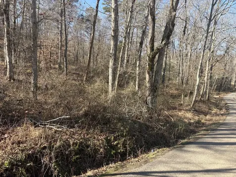 0 Dykes Hollow Road Jasper TN 37347