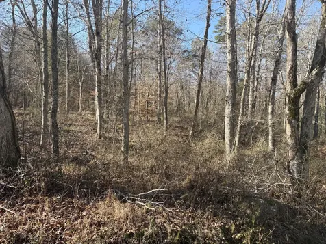 0 Dykes Hollow Road Jasper TN 37347