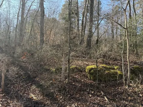 0 Dykes Hollow Road Jasper TN 37347