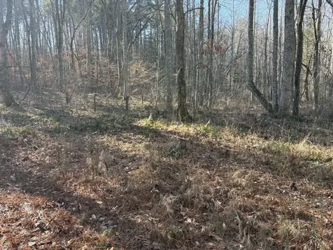 0 Dykes Hollow Road Jasper TN 37347